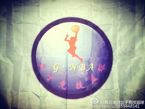 商丘學院女子競技籃球俱樂部 網絡時代的競技新篇章